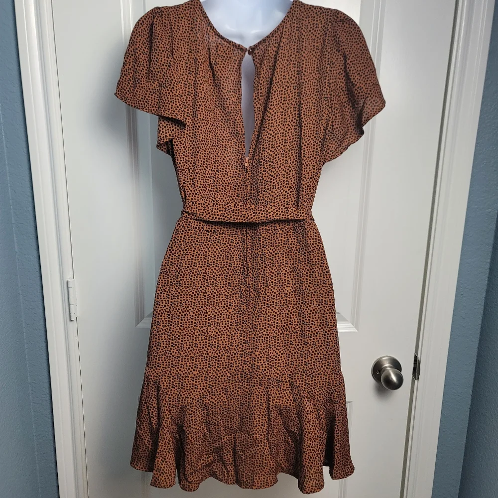 NWT - Blue Rain from Francesca's Leopard Dress - Picture 9 of 13